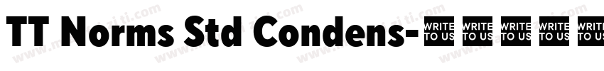 TT Norms Std Condens字体转换